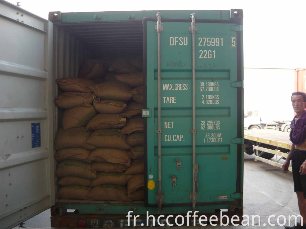 conteneur d'exportation de grains de café vert